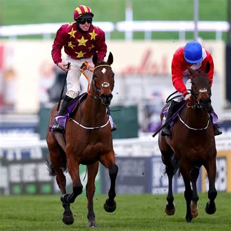 Eye On Cheltenham Week 18 .